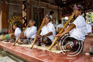 jacques maudy photography, jacques maudy, jacquesmaudyphotography, Cremation Queen Ubud, Ubud Bali,