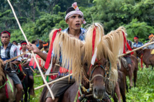 jacques maudy photography, jacques maudy, jacquesmaudyphotography, Sumba, Sumba pasola, pasola sumba indonesia
