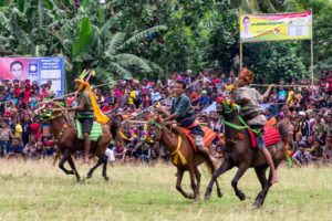 PASOLA Festival, Sumba Island, Indonesia, jacques maudy, jacques maudy photography, jacquesmaudy, jacquesmaudyphotography