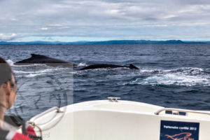 Madagascar, Ste Marie, the Whale Sanctuary, Julie Andre, Jacques Maudy, jacques maudy photography, jacquesmaudy, jacquesmaudyphotography