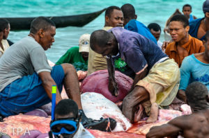 Sunshine coast photographer, gold coast photographer, brisbane photographer, artistic nudes, boudoir photography, commercial photography, event photography, jacques maudy photography, portrait photography, real estate photography, travel photography, jacques maudy nudes, jacques maudy photography, jacquesmaudy, jacquesmaudyphotography, Lali villa Lotus lembongan dec 19, nudes, nudes lali, jacques maudy, madagascar, cetamada, baleines, whales