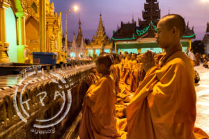 Myanmar, Sunshine coast photographer, gold coast photographer, brisbane photographer, artistic nudes, boudoir photography, commercial photography, event photography, jacques maudy photography, portrait photography, real estate photography, travel photography, jacques maudy nudes, jacques maudy photography, jacquesmaudy, jacquesmaudyphotography, Lali villa Lotus lembongan dec 19, nudes, nudes lali, jacques maudy, madagascar, cetamada, baleines, whales, myanmar