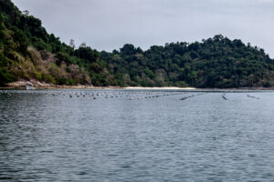 Moken, Mergui archipelago, myanmar, myek, jacques_maudy, Jacquesmaudyphotography.com, golden pearls of Myanmar