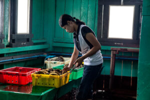 Moken, Mergui archipelago, myanmar, myek, jacques_maudy, Jacquesmaudyphotography.com, golden pearls of Myanmar